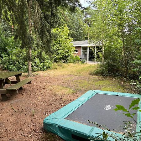 Relaxen In Het Bos Met Privesauna Holten Exterior foto